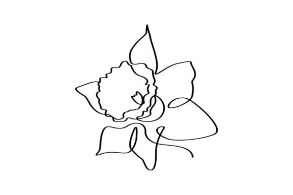 Daffodil Flower One Line Art