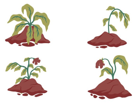 Wilted Tree or Dying Plant Illustration